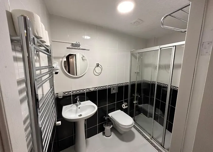 Hotel Asparagus & Old Estambul