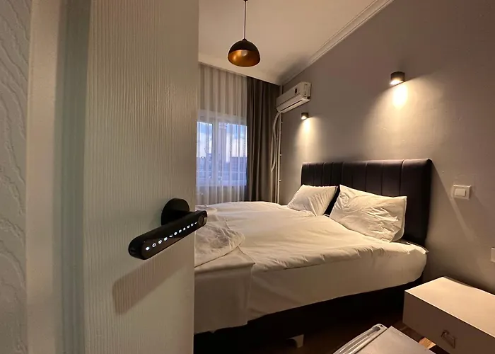 Hotel Asparagus & Old